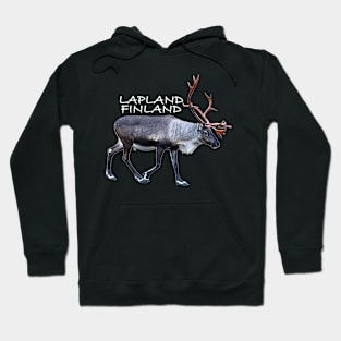 Lapland Hoodie